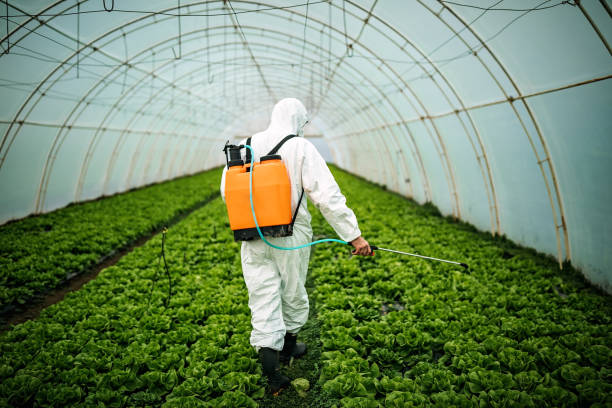 Reliable Eudora, KS Pest Control Solutions
