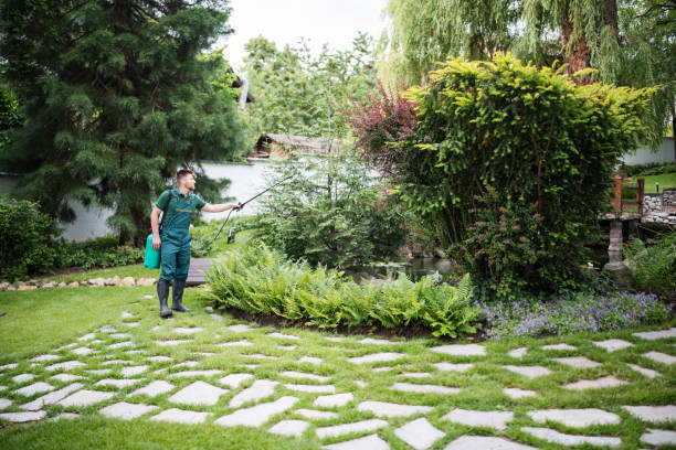 Best Best Pest Control Companies  in Eudora, KS