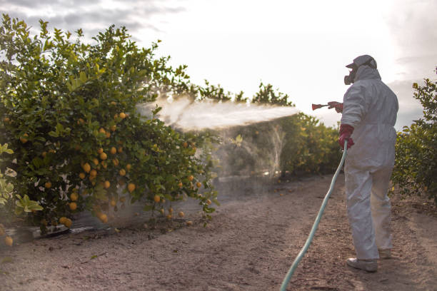 Best Mosquito Control Services  in Eudora, KS