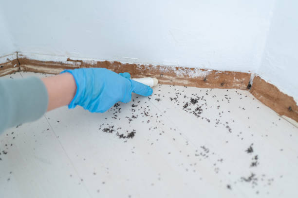 Best Pest Control for Homes  in Eudora, KS