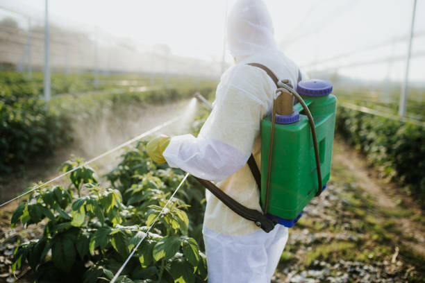 Best Wildlife Control Services  in Eudora, KS